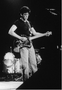 In the picture Lou Reed is playing guitar
