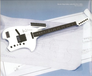 The picture of mkn guitar