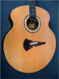 Brazilian and Sitka Spruce guitar