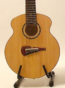 Romanek sixteen strings guitar design