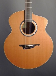 A brown coloured stylish guitar