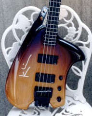 The picture of stylish electric string guitar