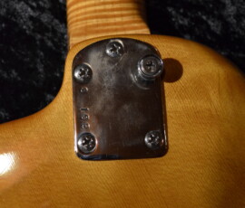 Back of guitar neck and plate close-up.