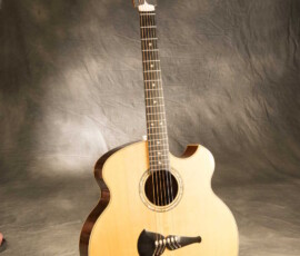 Acoustic guitar with unique body design.