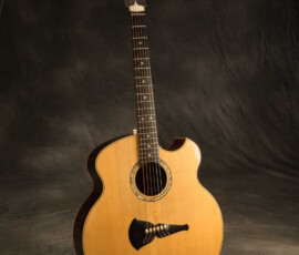 Acoustic guitar on a dark studio background.