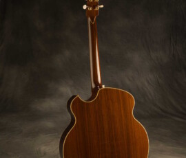 Warm-toned classical guitar back and neck
