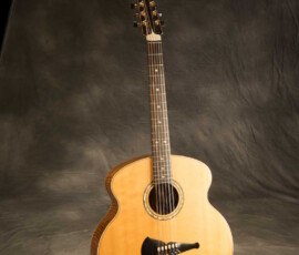 Twelve-string acoustic guitar on gray background.
