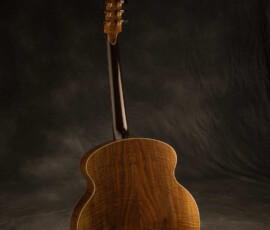 12-string acoustic guitar figured wood back