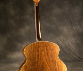 Back view of a twelve-string guitar.