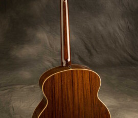 Glossy rosewood guitar back and neck
